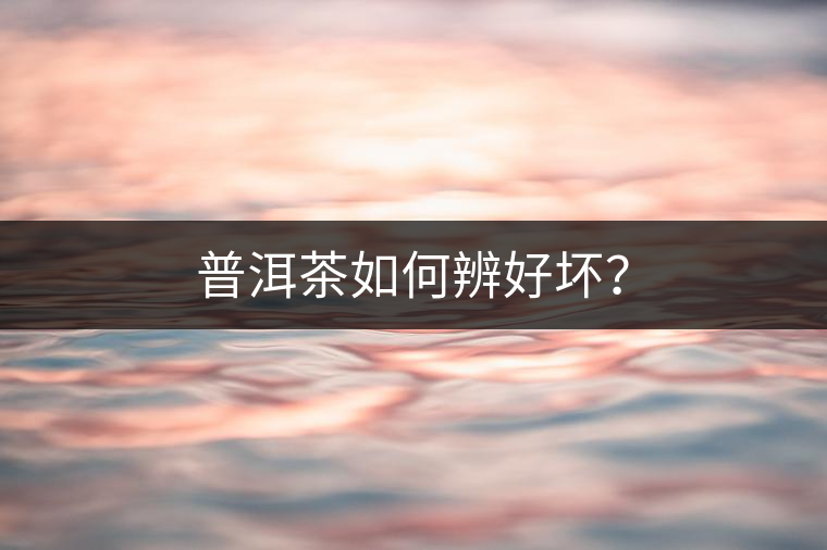 普洱茶如何辨好壞？