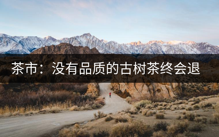 茶市：沒有品質的古樹茶終會退出市場
