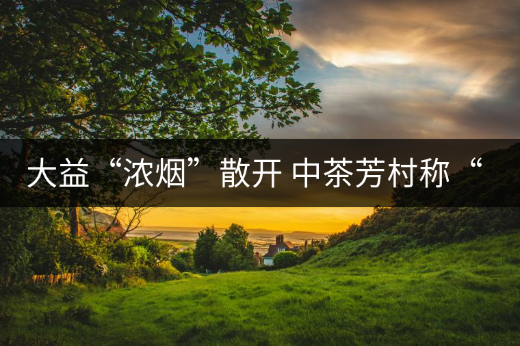 大益“濃煙”散開 中茶芳村稱“王”? 大益“濃煙”散開 中茶芳村稱“王”?