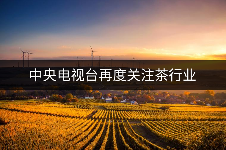 中央電視臺再度關注茶行業