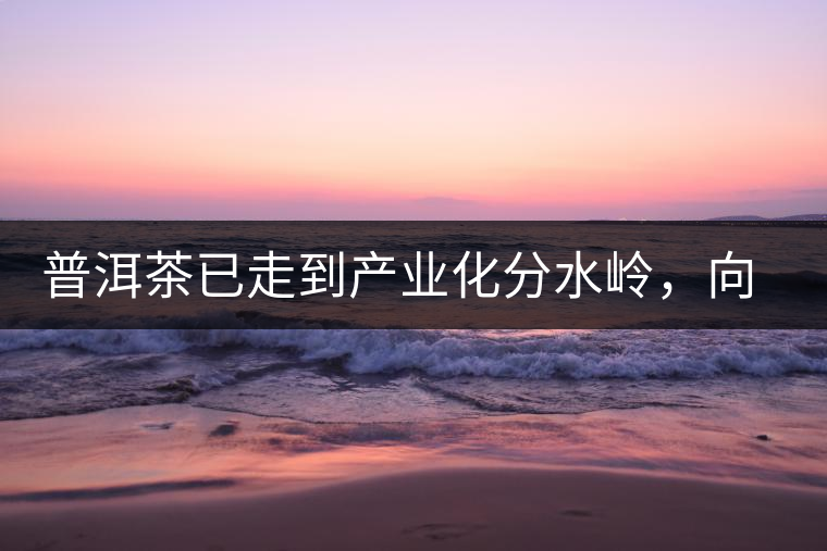 普洱茶已走到產(chǎn)業(yè)化分水嶺,向左還是向右? 普洱茶已走到產(chǎn)業(yè)化分水嶺,向左還是向右?