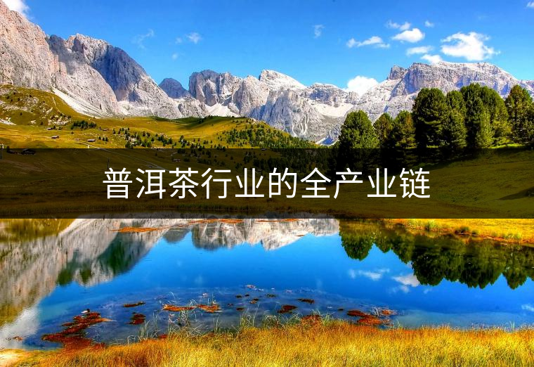 普洱茶行業的全產業鏈