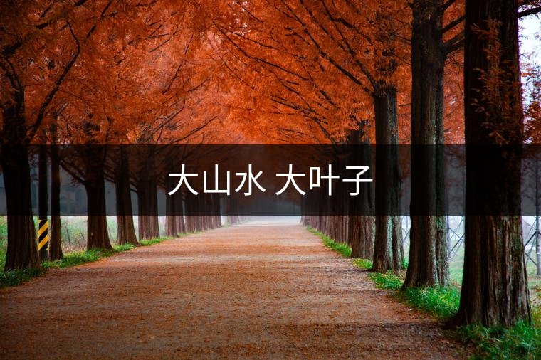 大山水 大葉子 大山水 大葉子