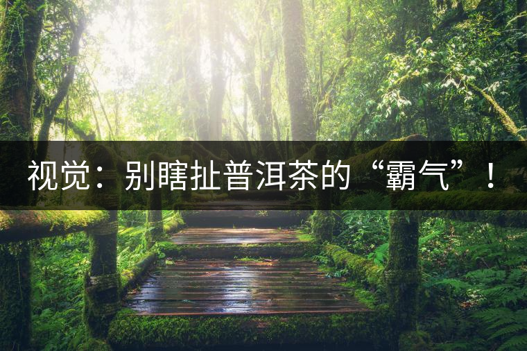 視覺：別瞎扯普洱茶的“霸氣”！偽大師！