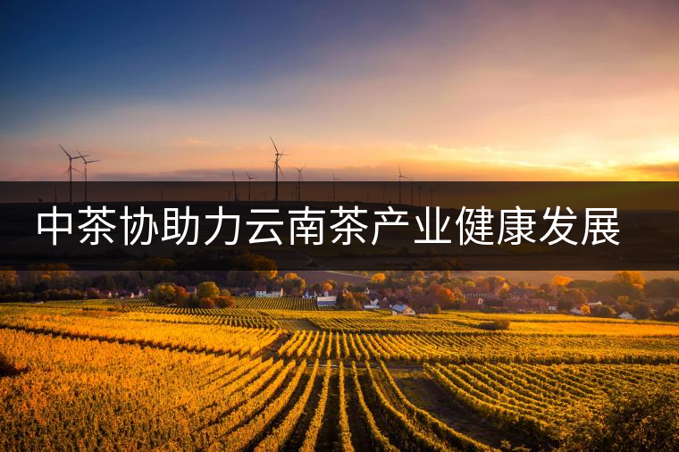 中茶協助力云南茶產業健康發展——第十一屆中國云南普洱茶國際博覽交易會隆重舉行 中茶協助力云南茶產業健康發展——第十一屆中國云南普洱茶國際博覽交易會隆重舉行