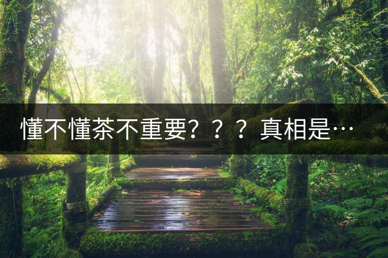 懂不懂茶不重要？？？真相是……