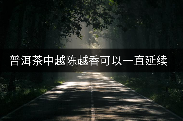 普洱茶中越陳越香可以一直延續下去嗎？