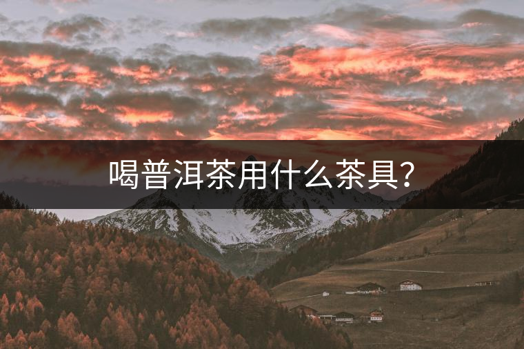 喝普洱茶用什么茶具? 喝普洱茶用什么茶具?