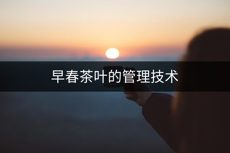 早春茶葉的管理技術