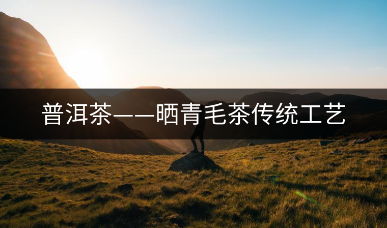 普洱茶——曬青毛茶傳統工藝