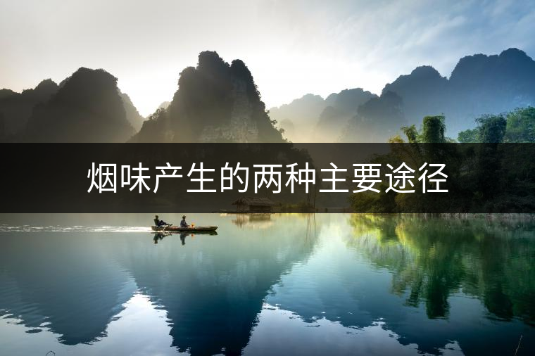 煙味產生的兩種主要途徑 煙味產生的兩種主要途徑
