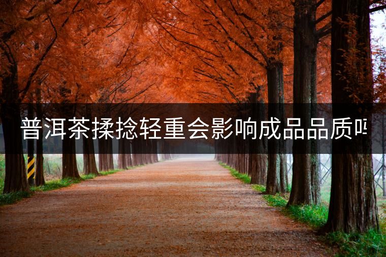 普洱茶揉捻輕重會(huì)影響成品品質(zhì)嗎? 普洱茶揉捻輕重會(huì)影響成品品質(zhì)嗎?