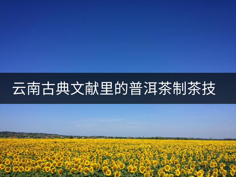 云南古典文獻里的普洱茶制茶技藝