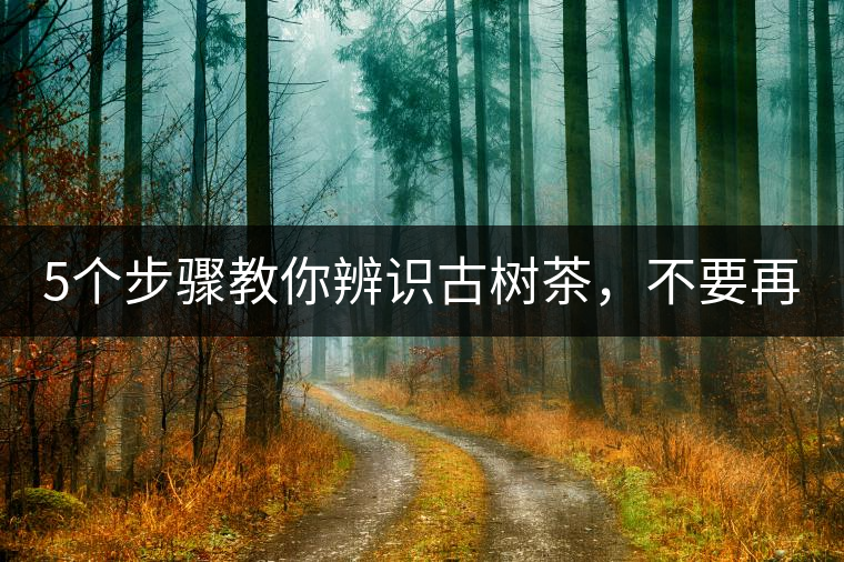 5個(gè)步驟教你辨識(shí)古樹茶，不要再被騙了！