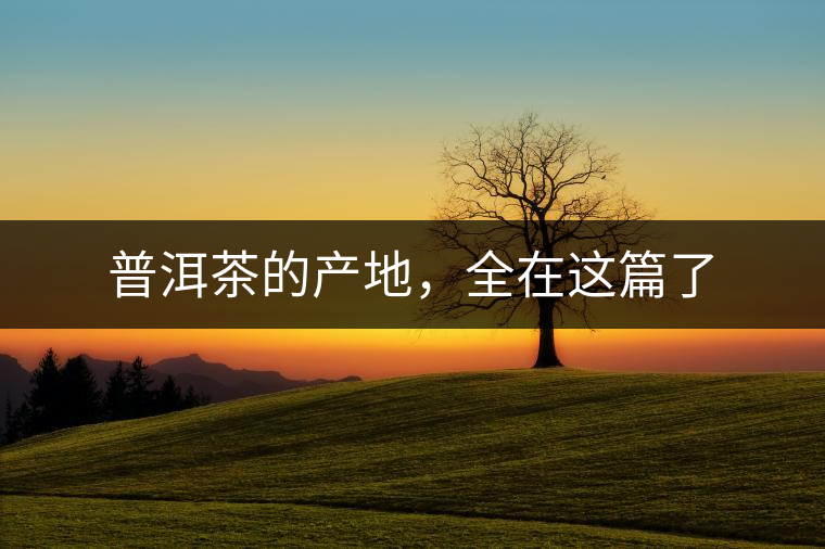 普洱茶的產地,全在這篇了 普洱茶的產地,全在這篇了
