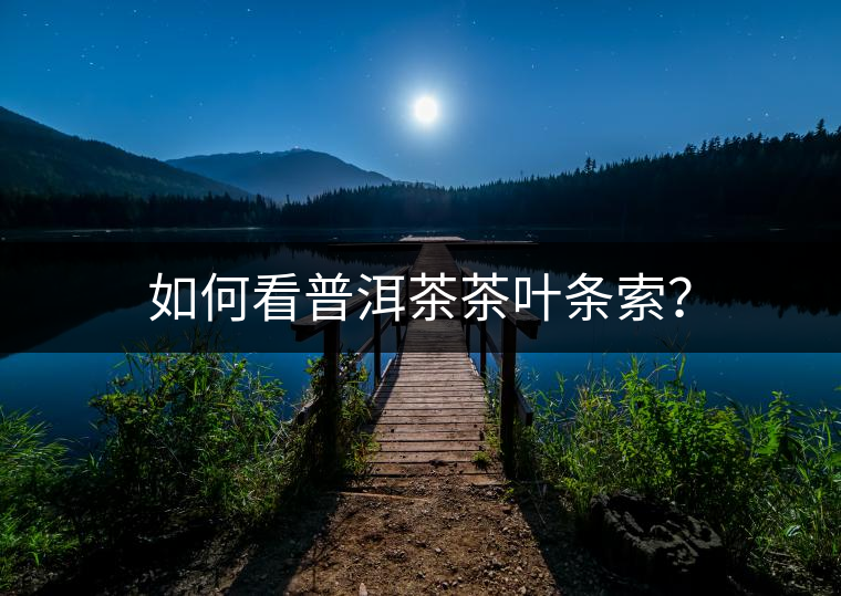 如何看普洱茶茶葉條索? 如何看普洱茶茶葉條索?
