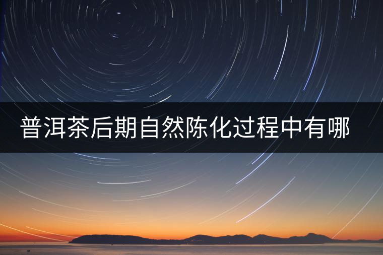 普洱茶后期自然陳化過程中有哪些變化? 普洱茶后期自然陳化過程中有哪些變化?