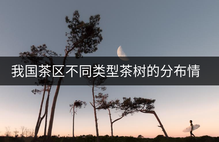 我國茶區不同類型茶樹的分布情況 我國茶區不同類型茶樹的分布情況