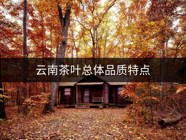 云南茶葉總體品質特點 云南茶葉總體品質特點