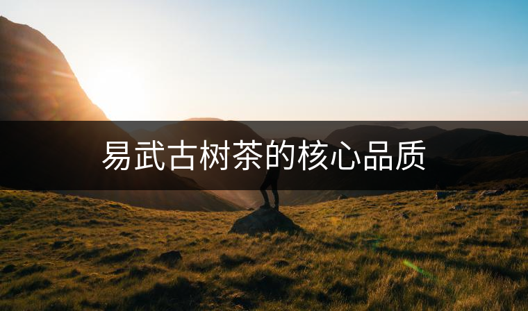 易武古樹茶的核心品質 易武古樹茶的核心品質