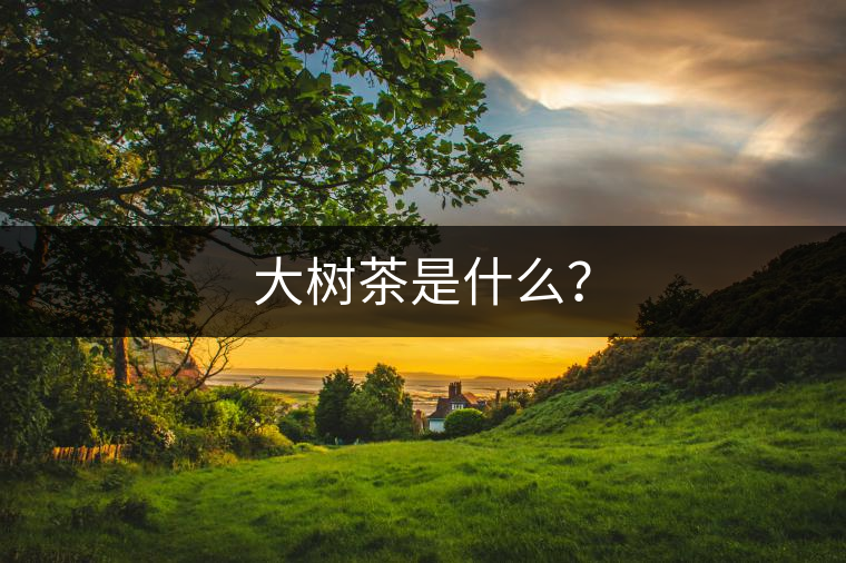 大樹茶是什么? 大樹茶是什么?