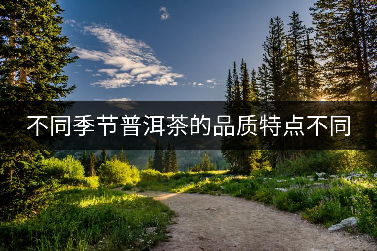 不同季節普洱茶的品質特點不同