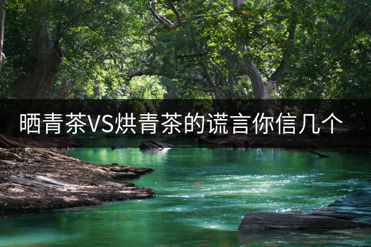 曬青茶VS烘青茶的謊言你信幾個(gè)? 曬青茶VS烘青茶的謊言你信幾個(gè)?