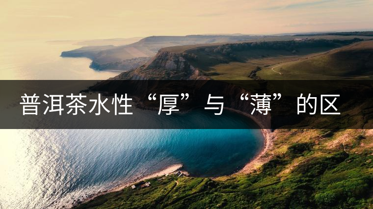 普洱茶水性“厚”與“薄”的區別