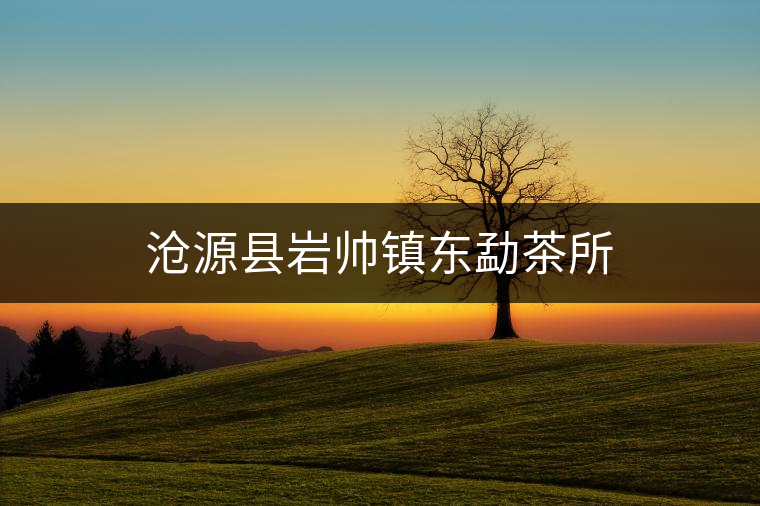 滄源縣巖帥鎮(zhèn)東勐茶所