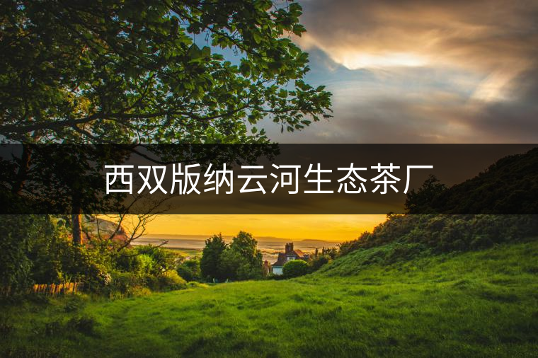 西雙版納云河生態茶廠