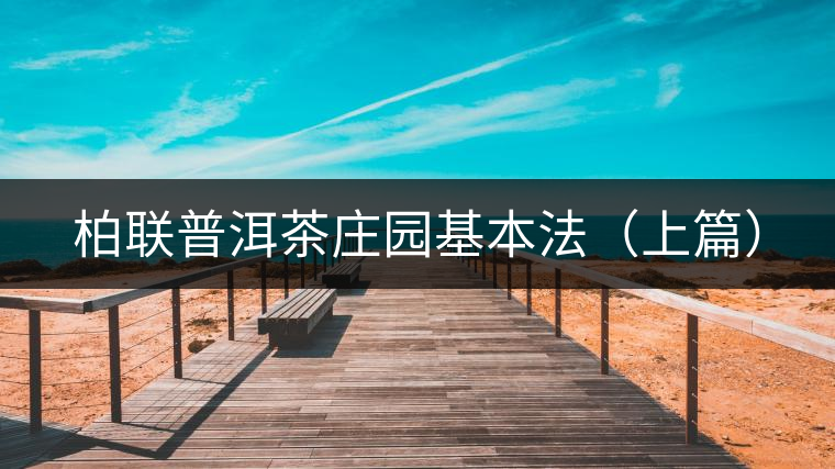 柏聯普洱茶莊園基本法（上篇）