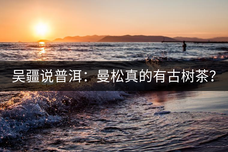 吳疆說普洱：曼松真的有古樹茶？