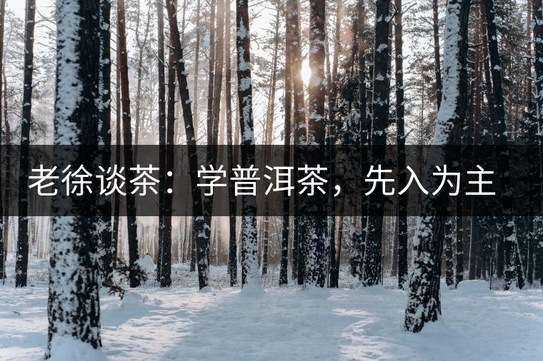 老徐談茶：學普洱茶，先入為主易被打臉，還得實踐出真知！