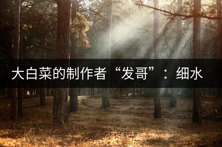 大白菜的制作者“發哥”：細水長流，做茶“急不得”