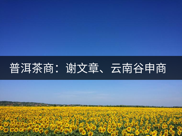 普洱茶商：謝文章、云南谷申商貿有限公司總經理