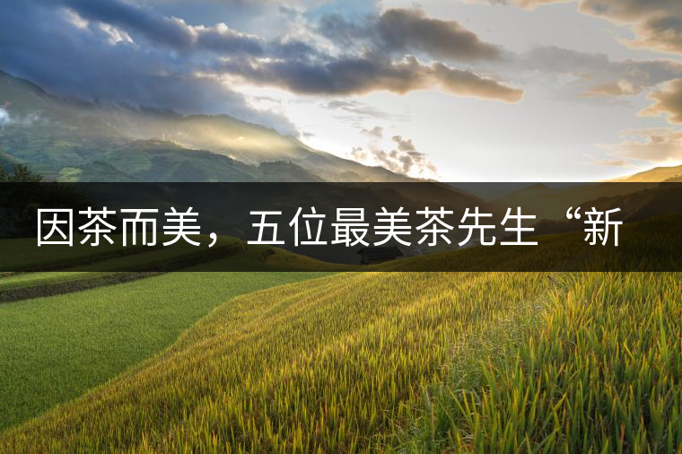 因茶而美，五位最美茶先生“新鮮出爐”啦