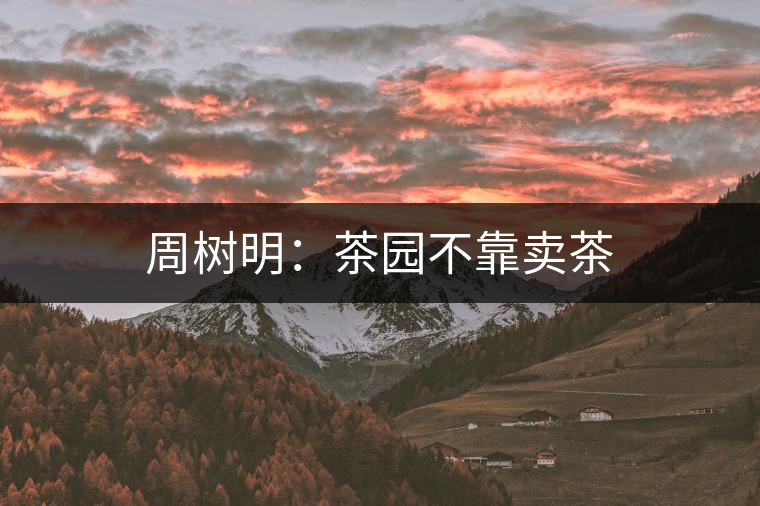 周樹明:茶園不靠賣茶 周樹明:茶園不靠賣茶