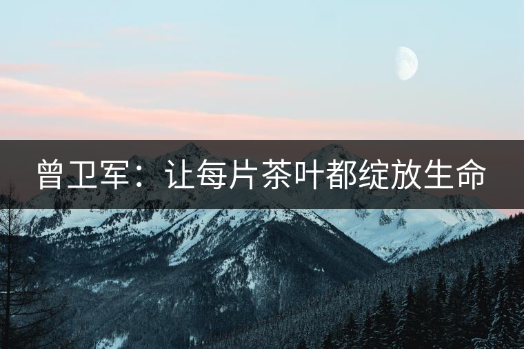 曾衛軍:讓每片茶葉都綻放生命 曾衛軍:讓每片茶葉都綻放生命