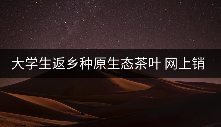 大學(xué)生返鄉(xiāng)種原生態(tài)茶葉 網(wǎng)上銷售獲好評(píng)