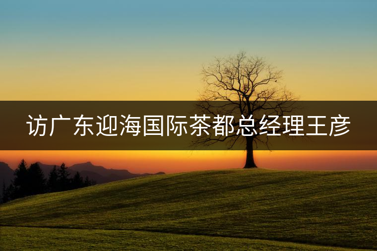 訪廣東迎海國際茶都總經理王彥 訪廣東迎海國際茶都總經理王彥
