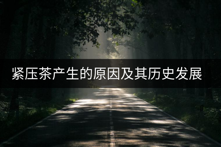 緊壓茶產生的原因及其歷史發展過程