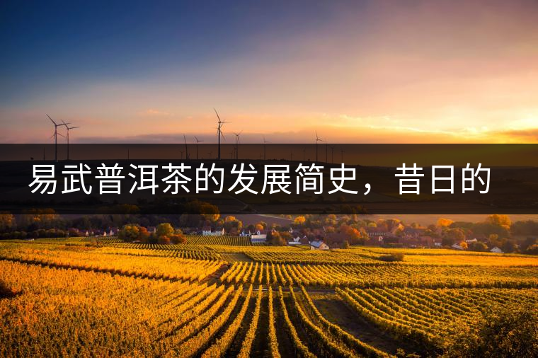 易武普洱茶的發(fā)展簡史,昔日的貢茶如今依然輝煌 易武普洱茶的發(fā)展簡史,昔日的貢茶如今依然輝煌