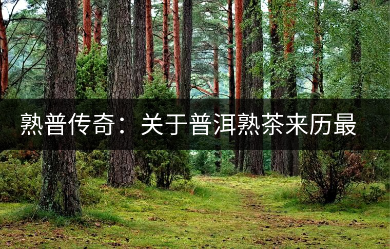 熟普傳奇：關于普洱熟茶來歷最詳細的編年史