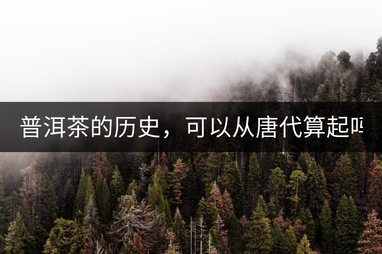 普洱茶的歷史,可以從唐代算起嗎? 普洱茶的歷史,可以從唐代算起嗎?