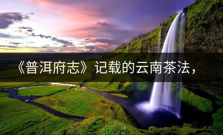 《普洱府志》記載的云南茶法,歷史上唯一為一種茶量身定制的法律 《普洱府志》記載的云南茶法,歷史上唯一為一種茶量身定制的法律