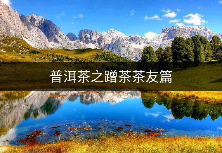 普洱茶之蹭茶茶友篇 普洱茶之蹭茶茶友篇