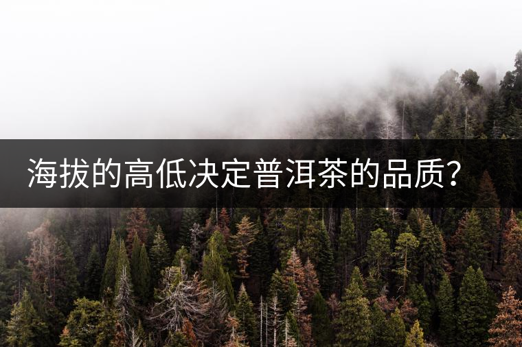 海拔的高低決定普洱茶的品質？【附：名山頭茶海拔表】