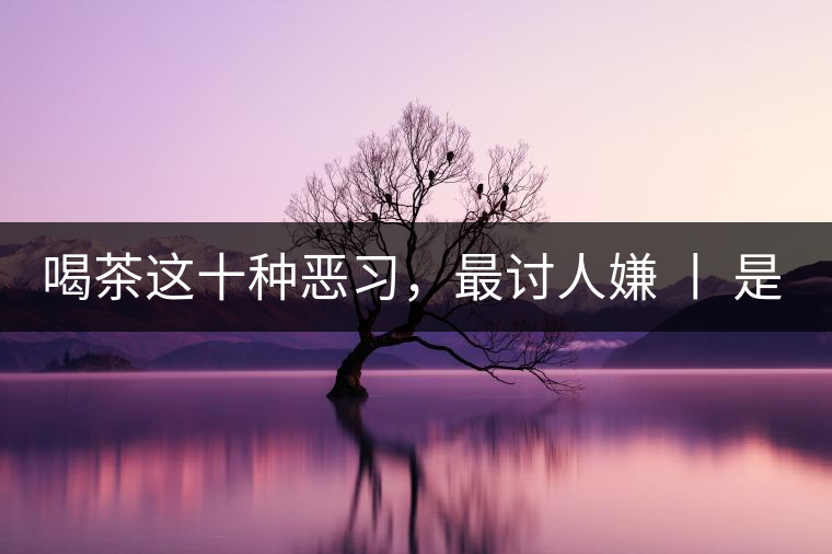喝茶這十種惡習,最討人嫌 丨 是否同感? 喝茶這十種惡習,最討人嫌 丨 是否同感?