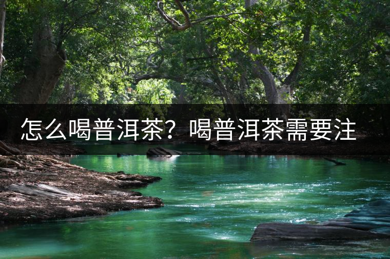 怎么喝普洱茶？喝普洱茶需要注意的要點