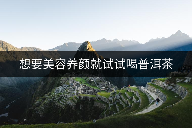 想要美容養顏就試試喝普洱茶 想要美容養顏就試試喝普洱茶